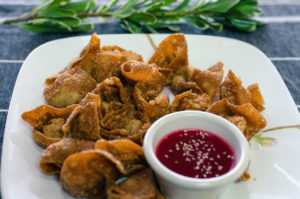 Deep Fried Wontons